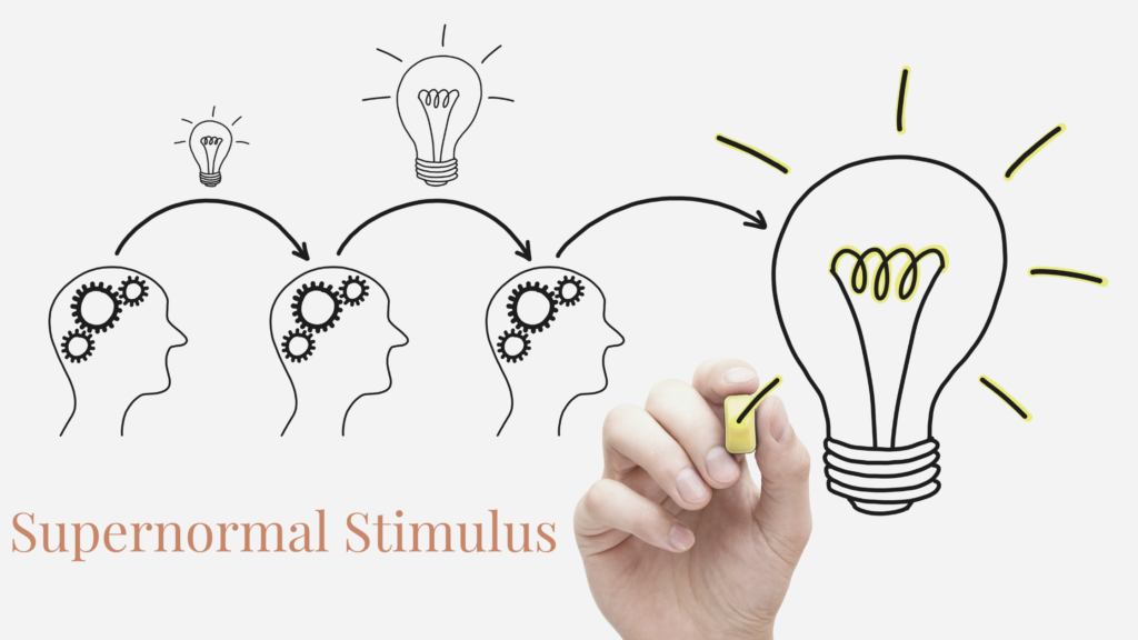Supernormal Stimulus