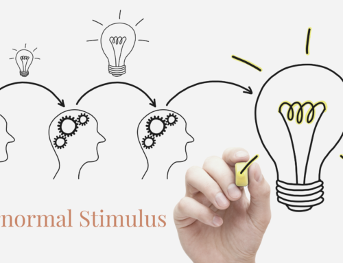 Supernormal Stimulus